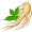 ginseng5