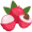 lychee5