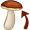 cap5