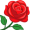 rose5