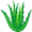 aloe5