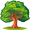 oak5