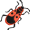 bug5