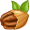 pecan5