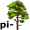 pi-ne5