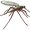 gnat5