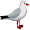 tern5