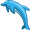 dolphin5