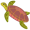 turtle5