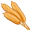 rye5