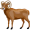 ram5