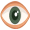 eye5