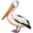 pelican5