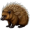 porcupine5