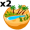 oasis5
