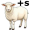 ewes5