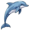 dolphin5