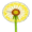 dandelion5