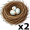 nest5