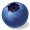 blueberry5