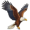 eagle5