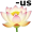 lotus5