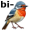 bird5