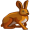 hare5
