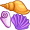 seashells5