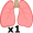 lung5