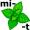 mint5