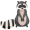 raccoon5