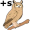 owls5