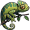 chameleon5