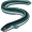 eel5