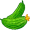 cucumbers5