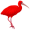 ibis5