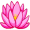 lotus5