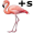 flamingos5