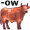 cow5