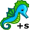 seahorses5