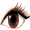 eye5