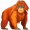 orangutan5