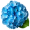 hydrangea5