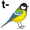t-it5