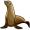 seal5