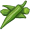 okra5