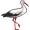 stork5