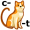 cat5