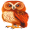 owl5